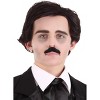 HalloweenCostumes.com One Size Fits Most Men  Men's Edgar Allan Poe Wig & Mustache, Brown - 3 of 3