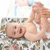Sweet Jojo Designs Girl Changing Pad Sheet Vintage Floral Pink Yellow and Green - 3 of 4