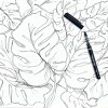 Precise 5pk V7 Harmony Collection Assortment: Rollerball Pens, 0.3mm, Quick Drying, Multicolored Ink, Stationery & Office - 3 of 4