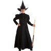 HalloweenCostumes.com Womens Deluxe Witch Costume - 2 of 4