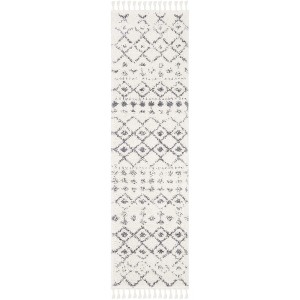 Berber Fringe Shag BFG516 Power Loomed Rug - Safavieh - 1 of 4