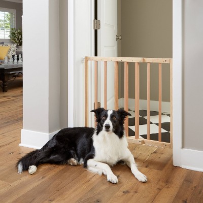 child dog gate