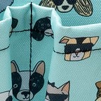 summer dogs