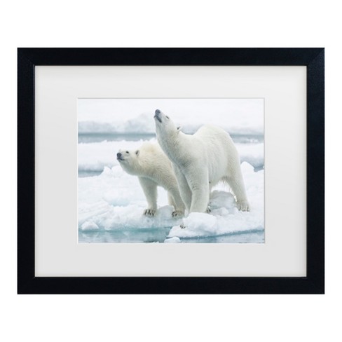 Joan Gil Raga Polar Bears, Mother And Son Matted Framed Art : Target