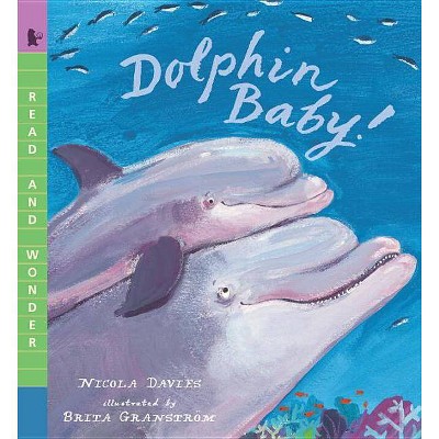 Dolphin Baby! - (Read and Wonder (Paperback)) by  Nicola Davies (Paperback)