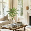 Whizmax 4/5FT Cane Palm Artificial Tree, Pre Potted Faux Greenry Plant for Indoor Outdoor Home Decor Office House Living Room - 3 of 4