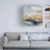 Canvas Wall Art - Silvia Vassileva 'Dusk II' Wall Art for Living Room, Bedroom, or Office Décor by Trademark Fine Art - 24 x 24 Inches - 2 of 4