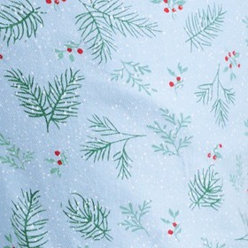 spruce and snow