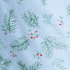 spruce and snow