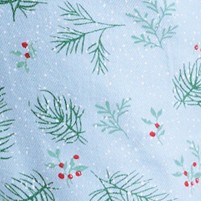 spruce and snow