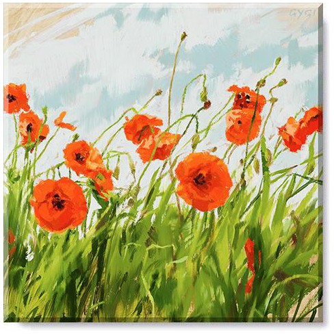 Sullivans Darren Gygi Poppy Field Canvas, Museum Quality Giclee Print ...