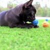 Midlee X-Small Dog Tennis Balls 1.5" Pack of 12 - 3 of 4