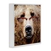 Stupell Industries Grizzly Bear with Glasses, 17" x 17" - 3 of 4