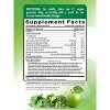 Nature's Truth Super Greens Gummies | 60 Count | Vegan, Non-GMO & Gluten Free | Made With Real Greens | Apple Flavor - 2 of 4