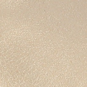 champagne