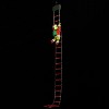17 in. RGB Light Show Carousel - 4 of 4