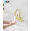 PAGED Bathroom Faucet with 360 Degree High Arc Swivel Spout, 2-Handle Bathroom Sink Faucet with Pop Up Drain & Supply Hoses - 2 of 4