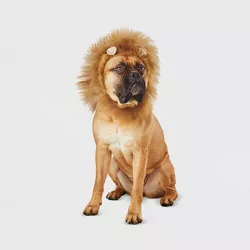 Lion Ruff Headwear Dog Costume - Brown - L/XL - Hyde & EEK! Boutique™