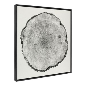 Kate and Laurel Sylvie Tree Rings Linen Framed Canvas by Emiko and Mark Franzen of F2Images - 1 of 4