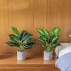 Aoibox 2 Pack Artificial Tropical Faux Plants for Office Desk Home Decor, Sage Green Indoor Fake Potted Plants with Lifelike Leaves - 3 of 4