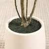 DR.Planzen Fake Plastic Olive Tree with Oval White Planter, Pre Potted Faux Greenry Plant With Encrypted branch and Artificial Fruits for Home Decor - 4 of 4