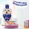 Dog Birthday Party Supplies, Boy Dog Birthday Bandana Set with Cute Dog Bowtie, Scarf, Birthday Banner Balloons and Hat with Numbers - 4 of 4