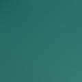 Dark Teal Green