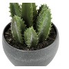 Artificial Plant, 6" Tall, Succulent, Indoor, Faux, Fake, Table, Greenery, Potted, Set Of 3, Decorative, Green Plants, Grey Cement Pots - 4 of 4