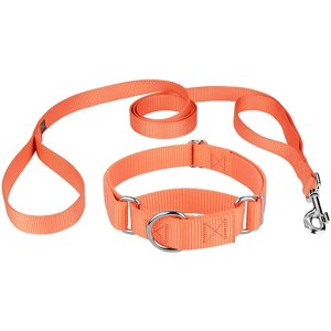 Country Brook Design Martingale Heavyduty Nylon Dog Collar and Double Handle Leash - 1 of 4