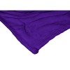 Disney's Encanto Not Talking Bruno Silk Touch Throw Blanket - 2 of 4