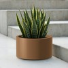 Heavy Duty Corten Steel Round Raised Garden Bed Kit, Pre-Rusted Metal Planter Box for Vegetables, Flowers, Herbs – Black – Ideal for Outdoor Gardening - 4 of 4