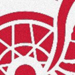 detroit red wings
