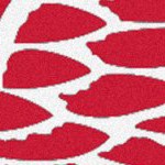 detroit red wings