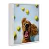 Stupell Industries Happy Smiling Pet Dog with Yellow Tennis Balls Framed Giclee Art - 2 of 4