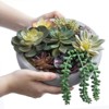 BRINJOY Mixed Artificial Succulent Arrangement | Low-Profile Gray Concrete Planter for Desk, Counter, Shelf & Window Sill Decor - 4 of 4