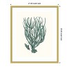 Amanti Art Antique Coastal Coral VIII by Johann Esper Wood Framed Wall Art Print - 3 of 4
