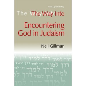 The Way Into Encountering God in Judaism - (Way Into... (Paperback)) by  Neil Gillman (Paperback) - 1 of 1