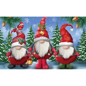 Briarwood Lane Winter Doormat 30x18 Indoor Outdoor Winter Gnomes Christmas For Christmas Doormat - 1 of 4