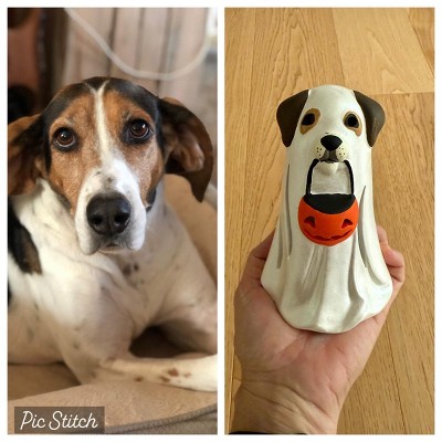 Guest review image 1 of 2, zoom in