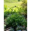 Gardeners Supply Company Jardin Bird Cage Plant Support | Large Sturdy Grow-Through Steel Flower Support Trellis and Garden Decor | Best to Support - 2 of 3