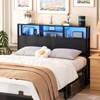 Aheaplus Storage Headboard with Power Outlets & Led Lights, Height Adjustable, Reversible Headboard - 2 of 4