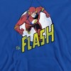 Dc Flash Run Flash Run Adult Pull-Over Hoodie - 2 of 4