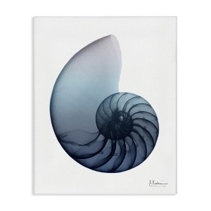 Stupell Industries Contemporary Nautilus Shell, 30" x 40" - 1 of 4