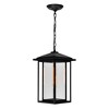 CWI Lighting,Crawford 1 Light Black Outdoor Hanging Light - 2 of 4
