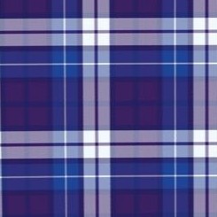 dark purple plaid