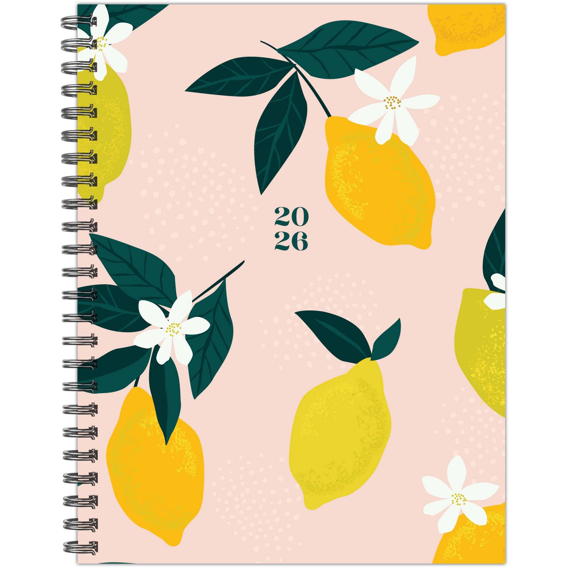 Willow Creek Press 6.5"x8.5" 2026 Citrus Weekly/Monthly Softcover Planner