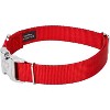 Country Brook Petz Premium Nylon Dog Collar with Metal Buckle for Small Medium Large Breeds - Vibrant 30+ Color Selection - 3 of 4