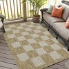 Playa Rug Daisy Rectangle Woven Indoor Outdoor Rugs - 3 of 4
