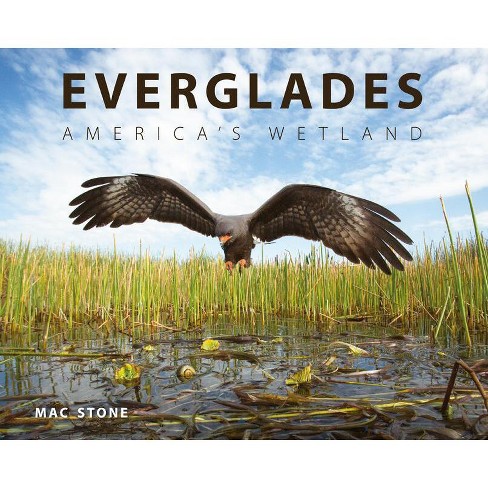 Everglades - by  Mac Stone (Hardcover) - image 1 of 1