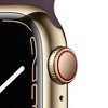 Apple Watch Series 7 GPS + Cellular, 41mm Gold Stainless Steel Case with Dark Cherry Sport Band - 3 of 4
